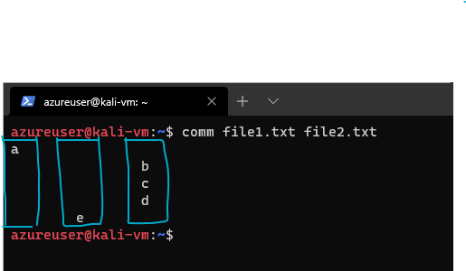 An intro to comm and diff commands